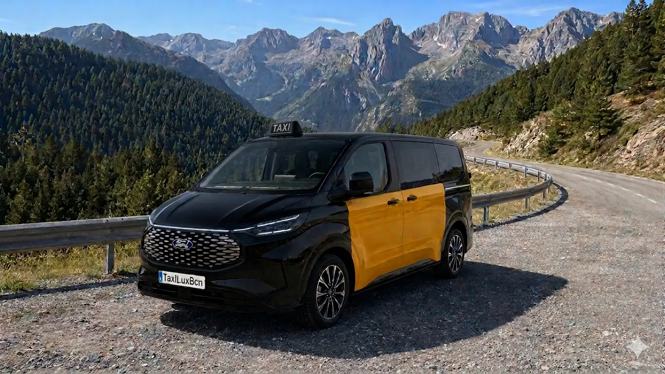Large Van