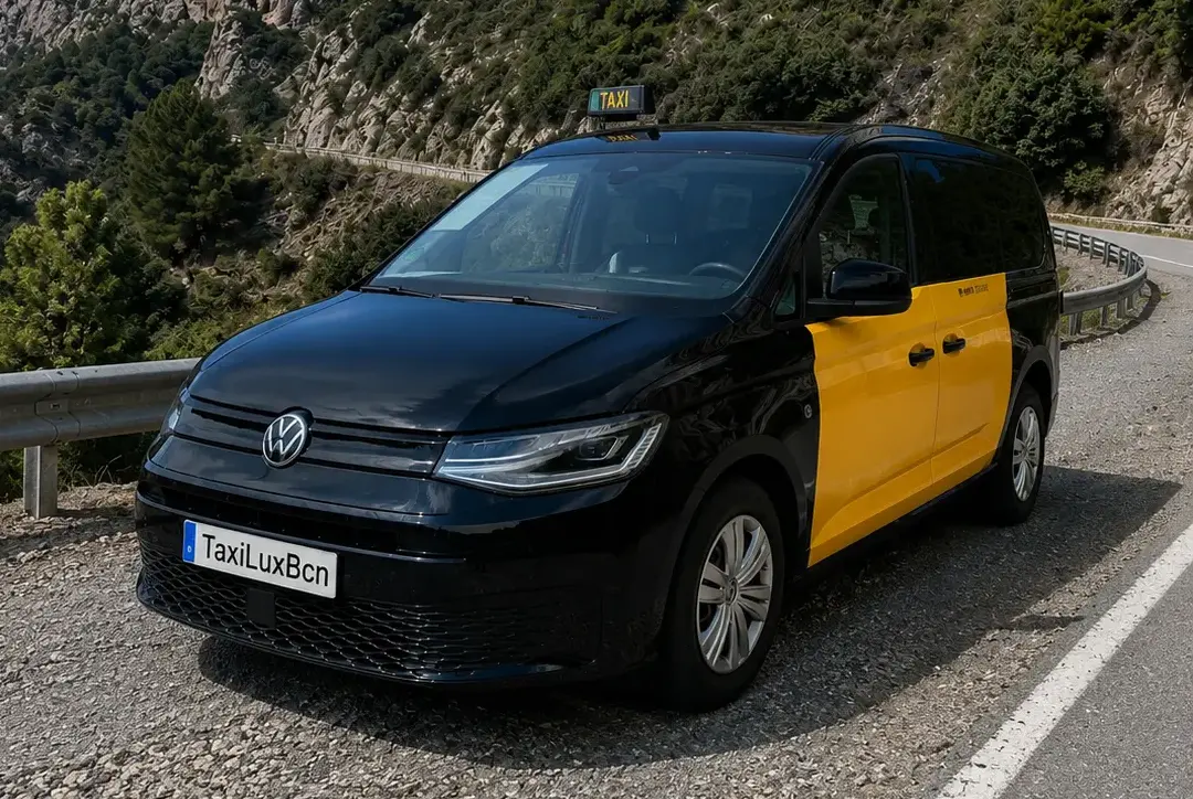 Small Minivan