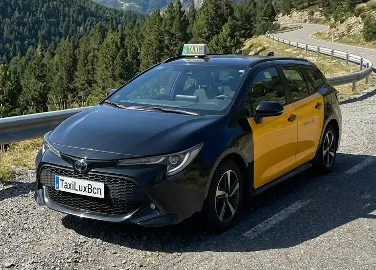 Standard Car
